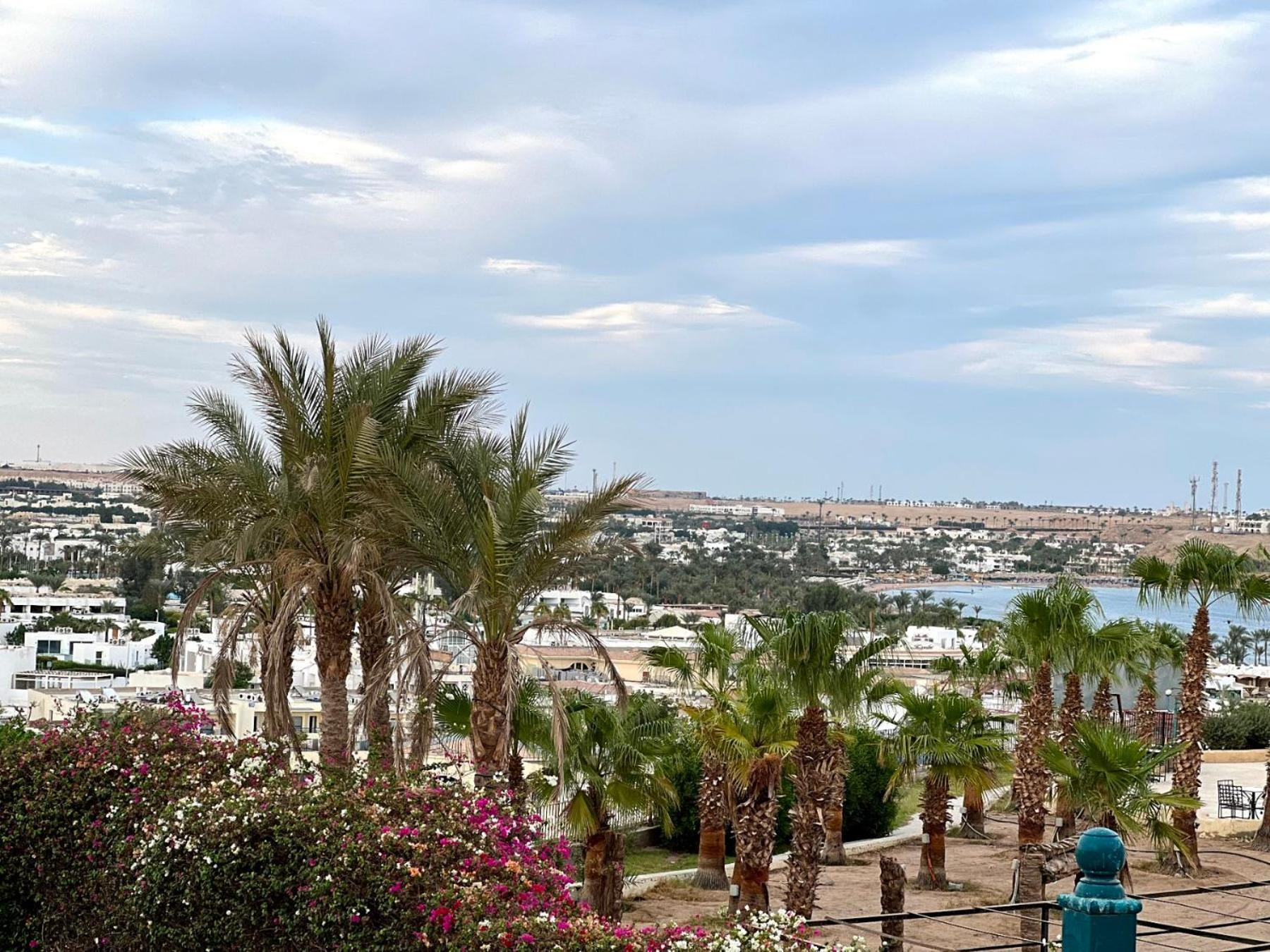 Cliff Otel 4*